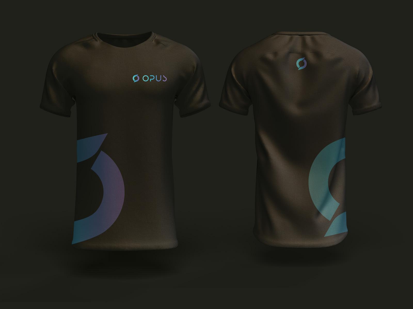 Project showcase 2