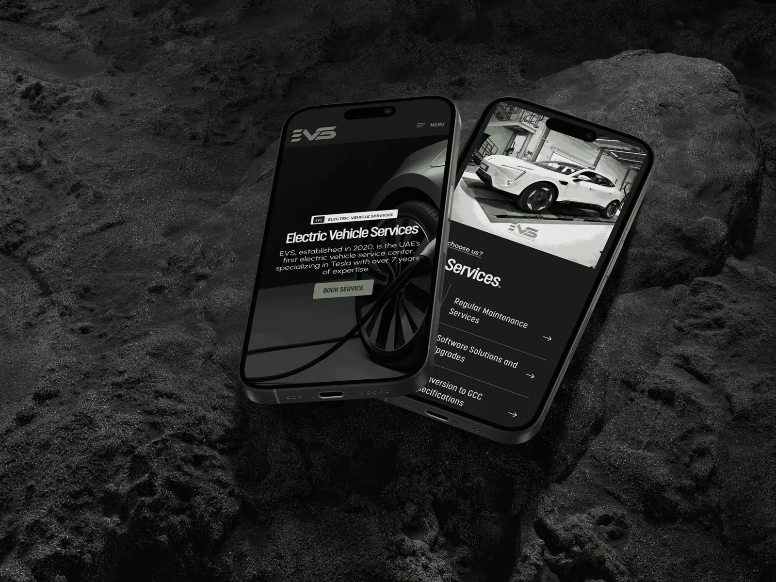EVS case study visual