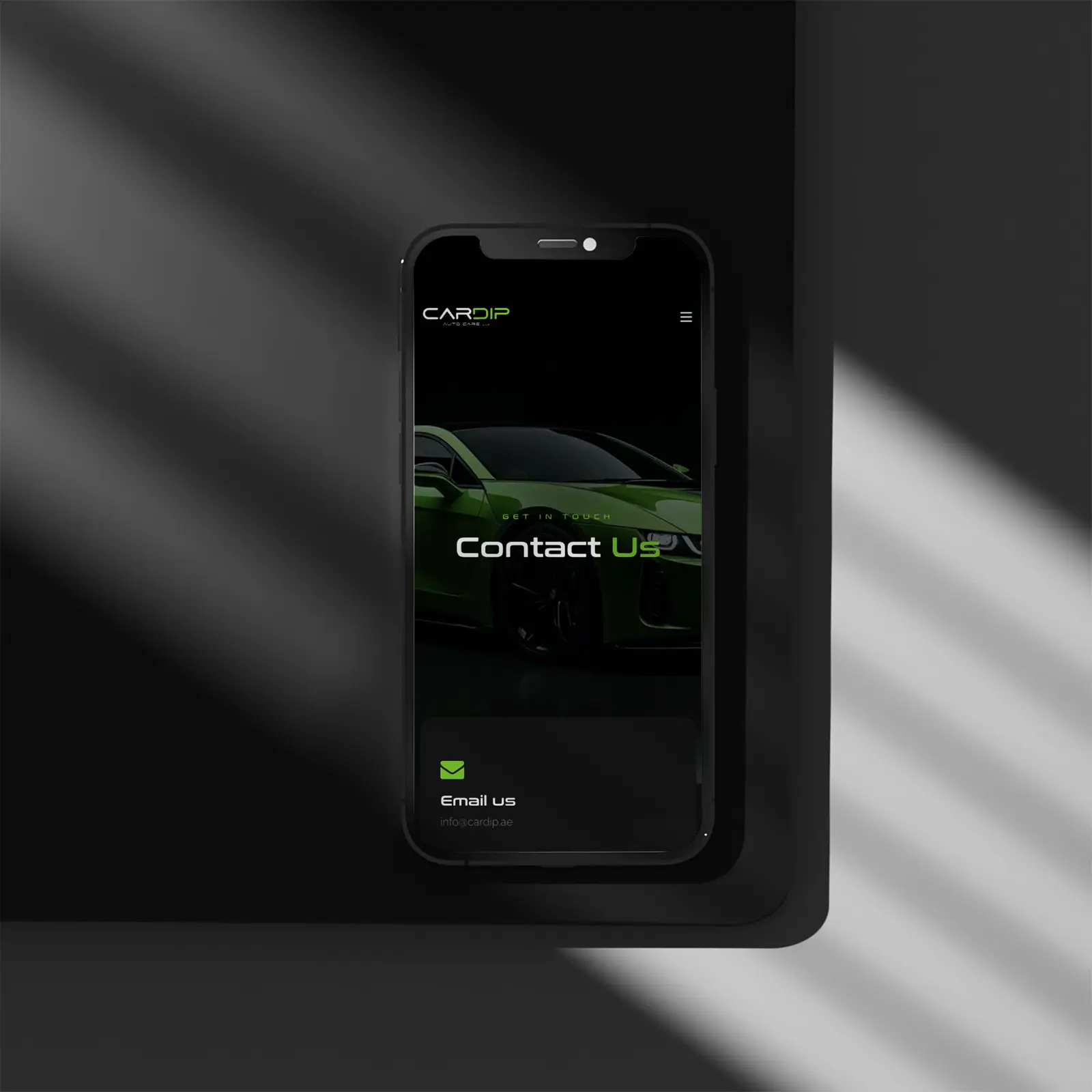 Project showcase 3