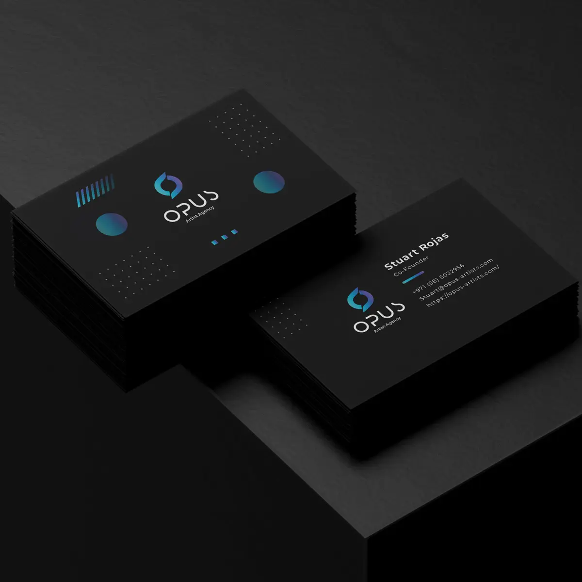 Project showcase 3