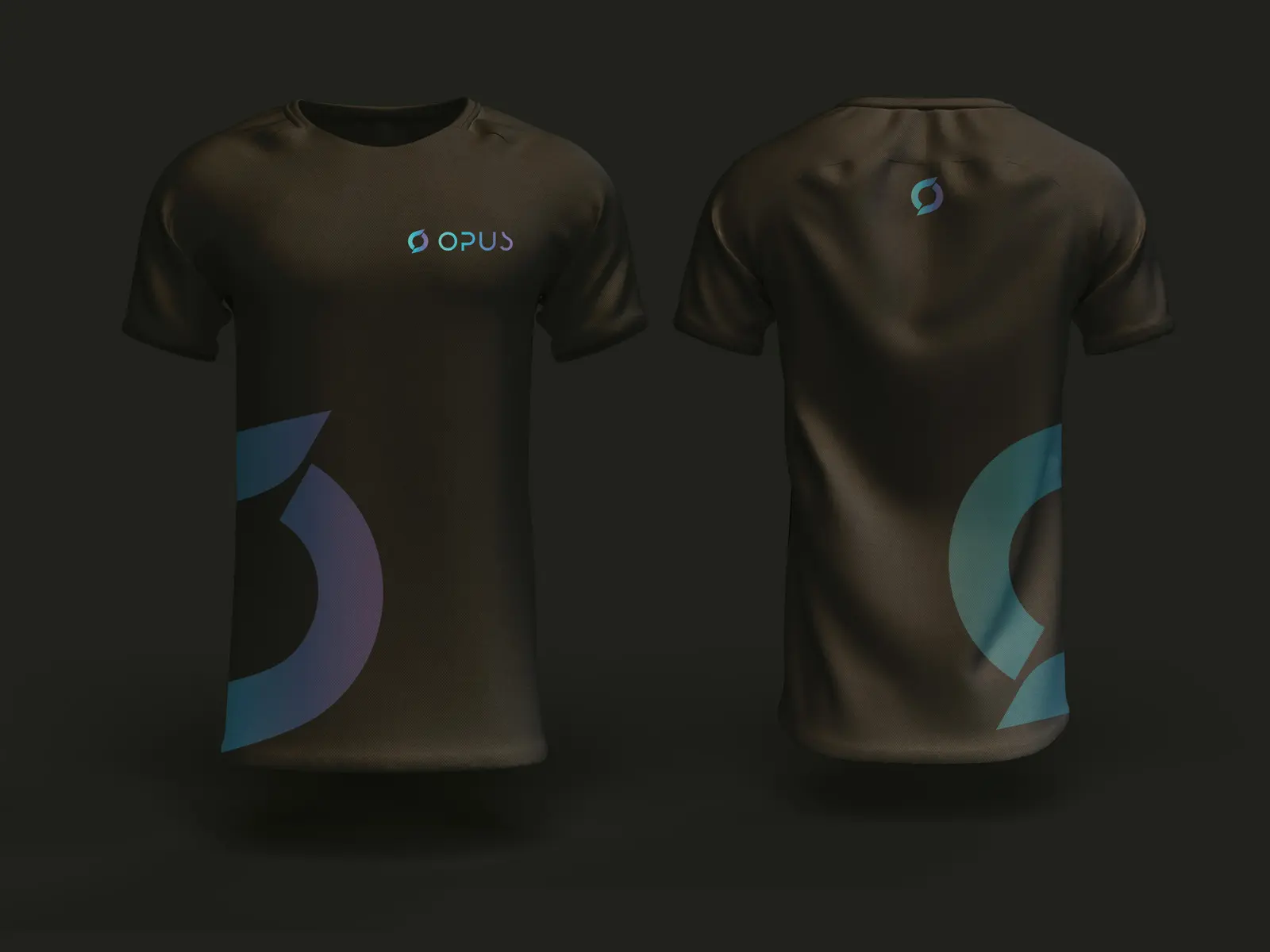 Project showcase 2