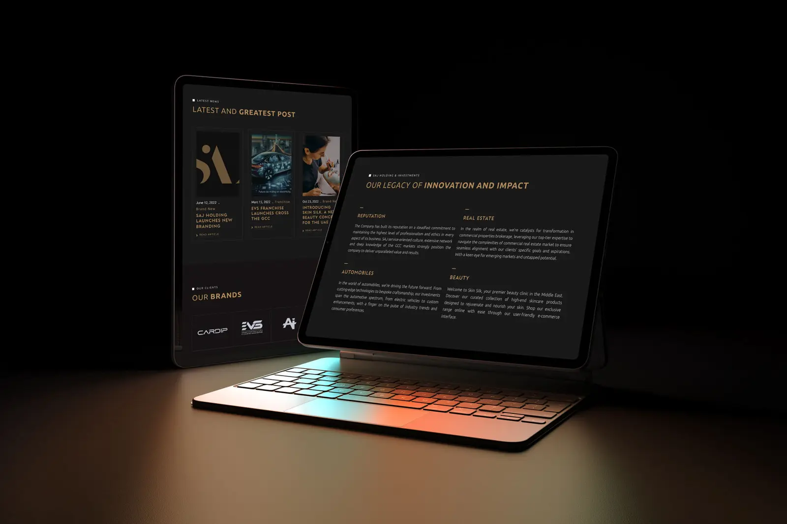 Project showcase 3
