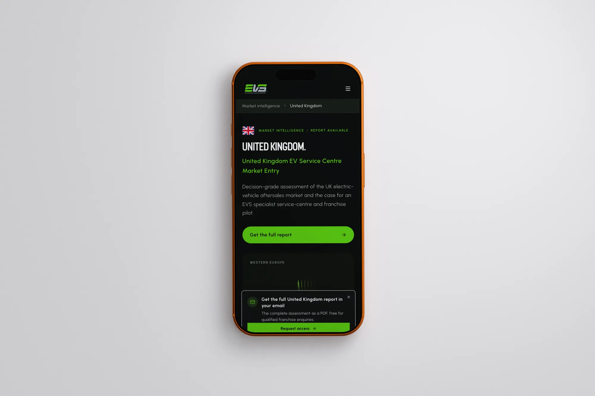 Project showcase image