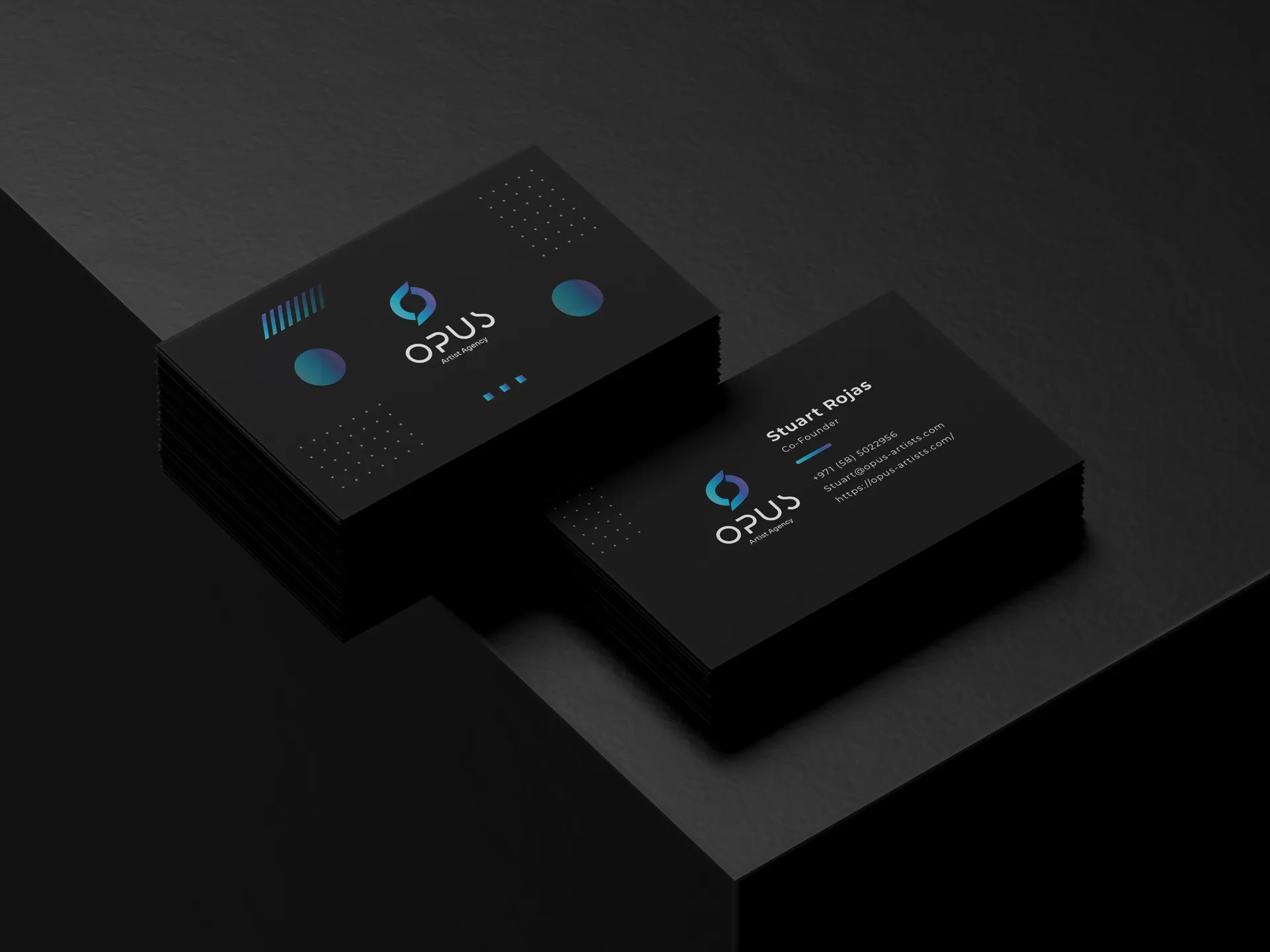 Project showcase image
