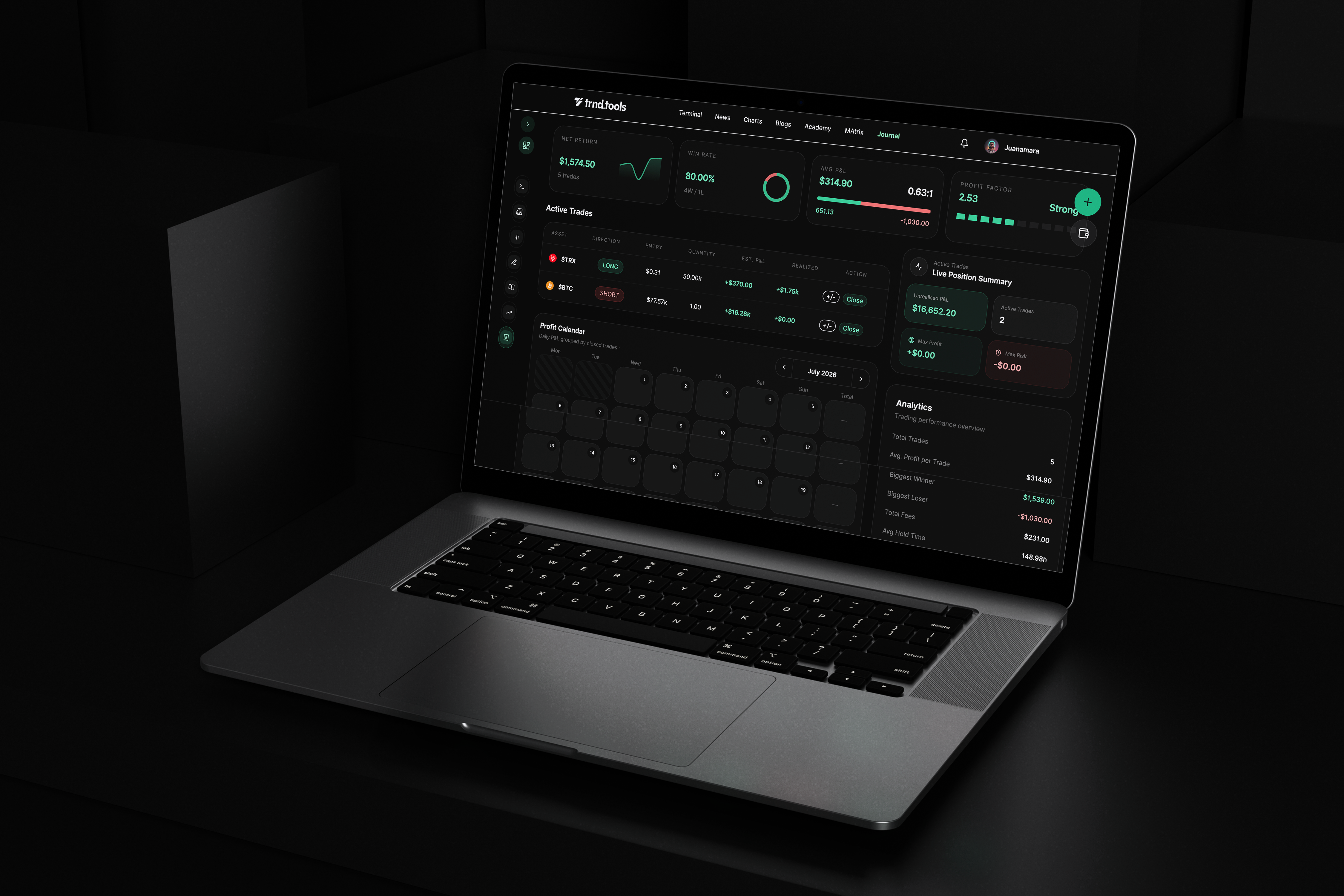 Project showcase 2