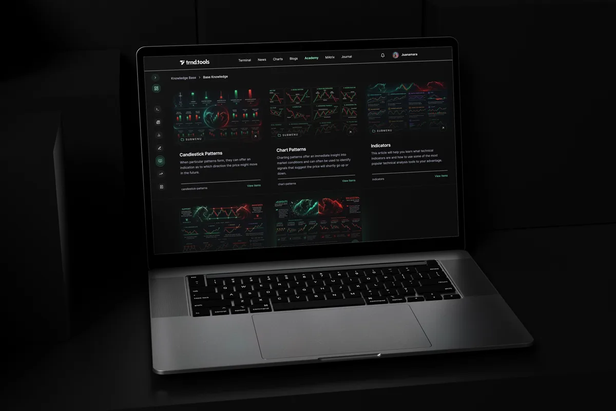 Project showcase 3